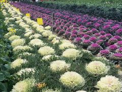 -中国天府农业博览园