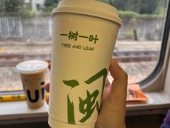 -一树一叶·福建茶档(石鼓路店)