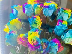 -ROSEONLY诺誓(青岛万象城店)