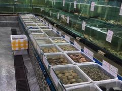 -海岛渔村大酒店(云霄路店)