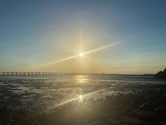 -宝安西湾红树林湿地公园