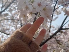 -苏州上方山国家森林公园