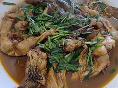 -小叶大馅饺子城