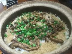 -优之名鹅城
