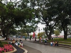 -洲头咀公园