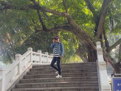 -荔湾湖公园