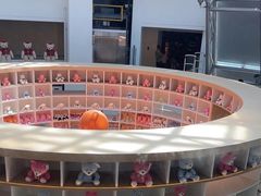 -济州岛泰迪熊博物馆