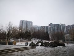 -望湖公园