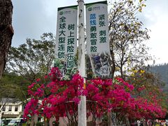 -大雁山风景区