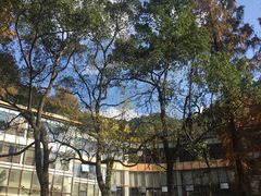 -天明山温泉大酒店