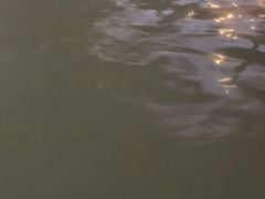 -三江森林温泉度假区