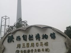 -陕西自然博物馆