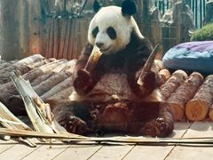 -大连森林动物园