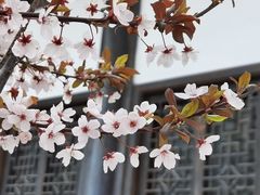 -松州古城