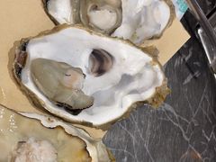 -塘屋烧烤·云南火塘烧烤品牌(新亚洲店)