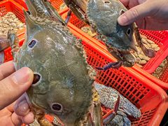 -巽寮印象美食部落餐厅·海鲜·地方特色菜(惠州体验店)