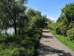 -白鹭湾湿地公园