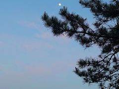 -北京西山国家森林公园