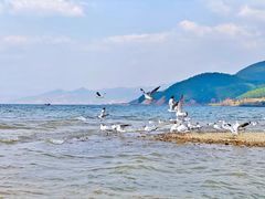 -丽江泸沽湖景区