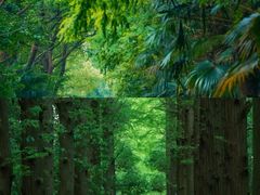 -同里国家湿地公园