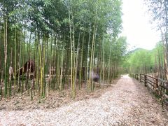 -莫干山风景区