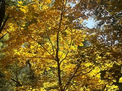 -长白岛森林公园