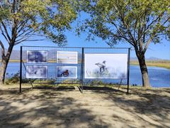 -野鸭湖国家湿地公园