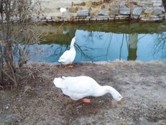 -三里河公园