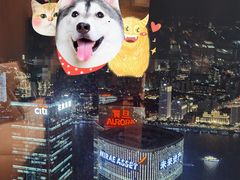 -金轩中餐厅 Jin Xuan(浦东丽思卡尔顿酒店)