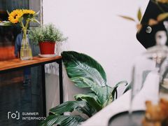 大堂-red donkey coffee