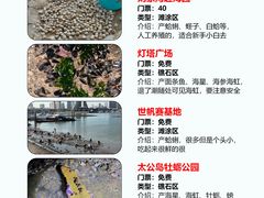 -巧克力渔家.小船海鲜胶东菜(万平口店)