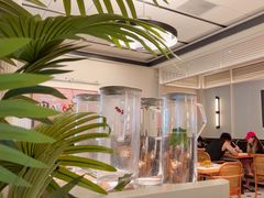 -太食獸泰式茶餐厅(IFS国金中心店)