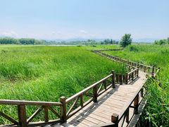 -野鸭湖国家湿地公园