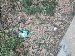 -杭州半山国家森林公园