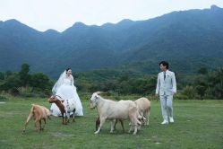 -麦田·婚纱摄影(天河新天地店)