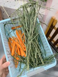 -Moni星球萌宠·小马宝莉·灵蛇·高端高阶全萌宠互动体验俱乐部(红豆国际广场店)