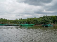 -东寨港红树林旅游区