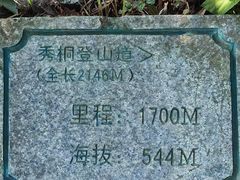 -梧桐山风景名胜区