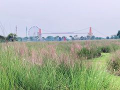 -花博汇(知音花月夜)