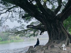 -云水谣景区