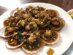 蚝油扇贝-华春餐馆(鱼山路店)