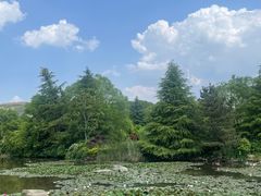 -白马涧龙池景区