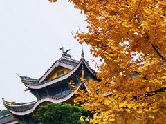 -四川大学(华西校区)