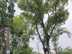 -茅草房·河畔园林火锅