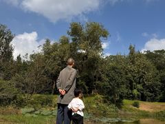 -白鹭湾湿地公园