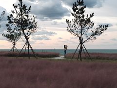 -那香海钻石沙滩浴场