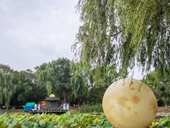 -北陵公园