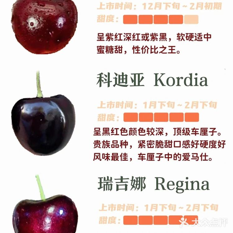 常见车厘子｜甜度大小｜一看就懂了