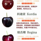 常见车厘子｜甜度大小｜一看就懂了