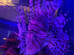 -沈阳海洋探索中心